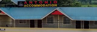 Antonio Accommodation Kericho - Kericho - 0