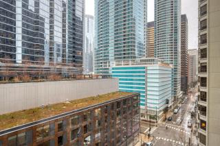 Streeterville 2br w gym pool Ohio St beach CHI-909 - Chicago - 8