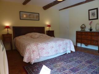 La Grange des Davids Mas en Provence - Oppedette - 1