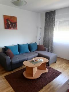 Apartman BojAna Vrnjačka Banja - 2