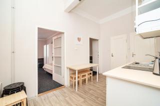 Flat in Zizkov -403- - Praga - 4