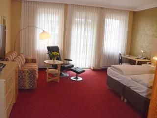 Hotel Kleiner Riesen - Coblence - 7