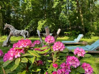 GITES du BOIS des PERRUCHES - Saint-Vincent-des-Bois - 3