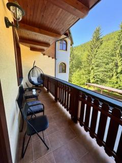 Apartment Amelia Tale, View of Chopok from large terrace, In the nature - Horná Lehota - 8