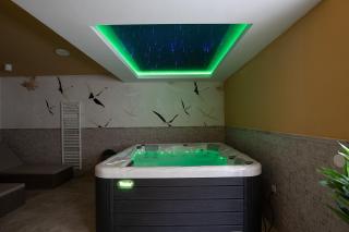 Villa Estrella in Medulin for 10 people with sauna & whirpool just 6 m from the sea - Medulin - 7