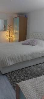 Fontana Apartman - 9