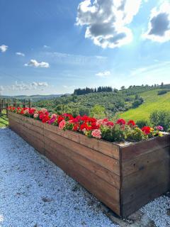 Colle Del Sole - Lastra a Signa - 4