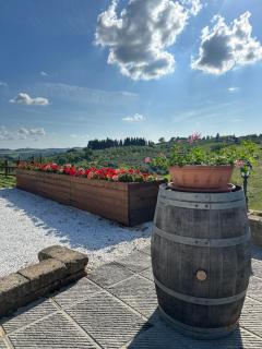Colle Del Sole - Lastra a Signa - 5