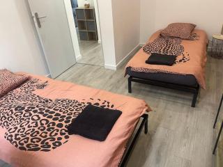 F4 Élégant - Strasbourg Cosy - Strasburgo - 7