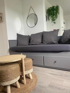 F4 Élégant - Strasbourg Cosy - Strasburgo - 3