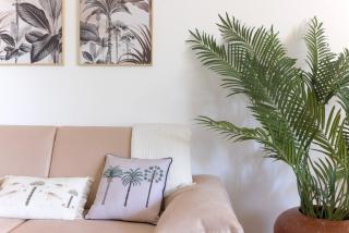 Hight Standing Studio Point Croisette - 4