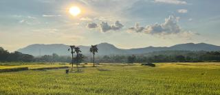 swiss valley Mae On Homestay - Chiang Mai - 0