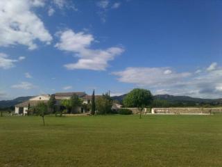 Grand mas provencal tout confort - Carpentras - 8