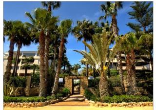 Bajo en Marbella - Marbella - 6