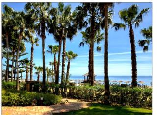 Bajo en Marbella - Marbella - 4