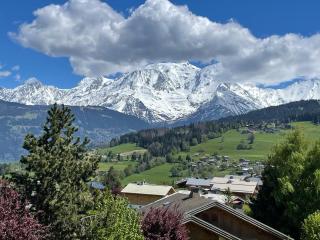 Appartement Luxe comme un Chalet - vue exceptionnelle - Combloux - 2