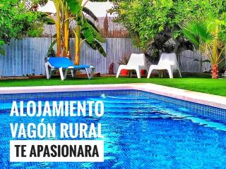 OasisTrain 01 - PISCINA - Murcia - 7