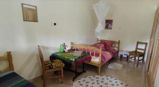 Padre Paradise - Narok - 1