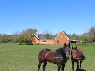 Holiday Home Adrienne - 6-4km from the sea by Interhome - Åkirkeby - 0