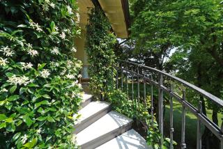 Terrazze sul Garda by Garda FeWo - Castello - 1