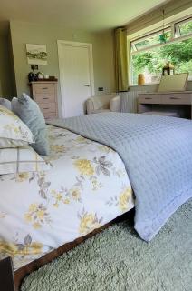 Kingsley Cottage - Beaworthy - 4