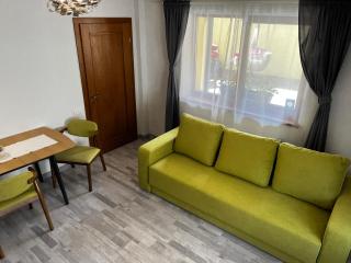 AKI GRAY Apartment - Brasov - 5