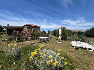 The Priest’s House - 3
