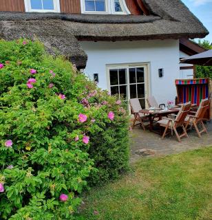 Insel Landhaus Seaside - Gager - 9