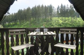 Little Fox Cabins - Ruhe und Auszeit in der Natur - Klingenthal - 9