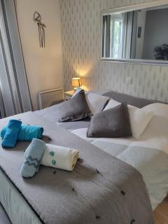 Gîte 3 étoiles Lou Gaston - Castillon-la-Bataille - 6