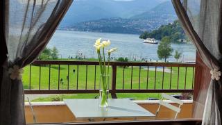Lily Lake Maggiore - Laveno-Mombello - 0