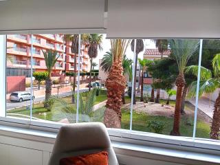 Precioso apartamento en primera línea de playa - Roquetas de Mar - 7
