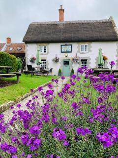 The Kingsdon Inn - Kingsdon - 0