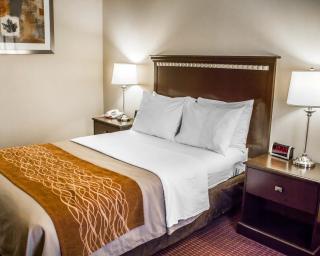 Wingate by Wyndham Clearfield - Clearfield - 8