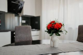 Lovely Apartment Doris - Seget Vranjica - 5