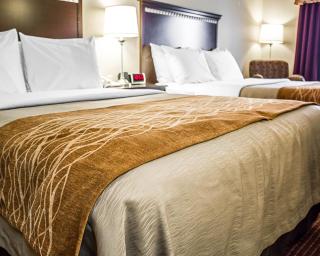 Wingate by Wyndham Clearfield - Clearfield - 4