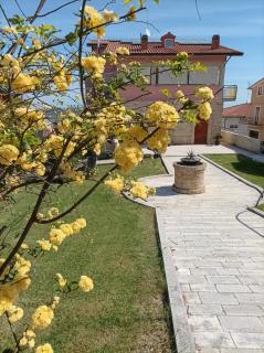 Villa Istonia - Cupello - 9