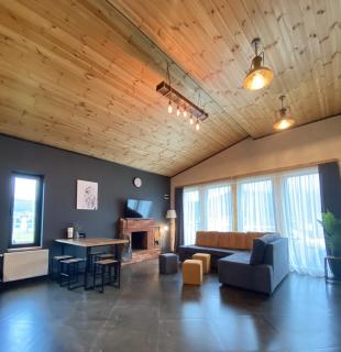 TwinSide Chalet Bakuriani - 1
