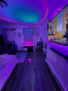 Serene Oasis Suite with private bathroom - Newark - 9