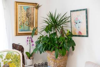 En bord de Sorgue - 2