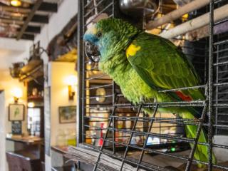 New Inn - Crediton - 5