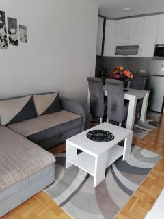 Apartman Zapadni Kej Pirot - Pirot - 7