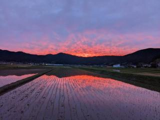 古民家民宿カルフール - Seiyo - 2