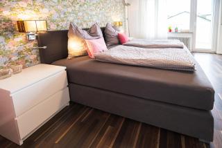 Höri-Nest Seeblick-Appartement - Gaienhofen - 4