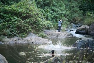 BLUE CREEK resort - Meppādi - 6