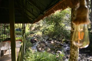 BLUE CREEK resort - Meppādi - 2