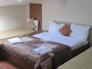 Theodian Hotel - Istanbul - 9