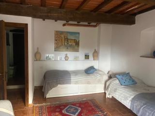 Pelagone - Suvereto - 5