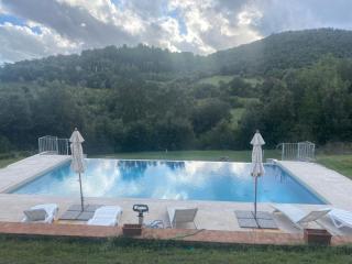 Pelagone - Suvereto - 4
