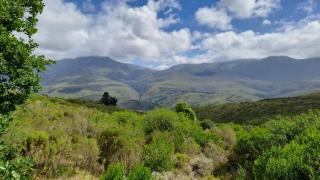 Akasha Mountain Retreat, new location - Heidelberg - 9